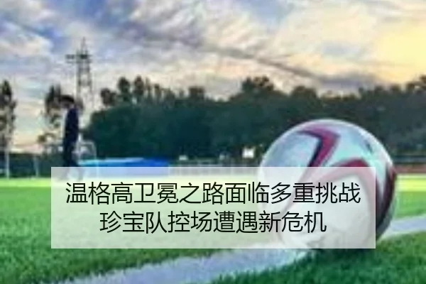 wen-ge-gao-wei-mian-zhi-lu-mian-lin-duo-zhong-tiao-zhan-zhen-bao-dui-kong-chang-zao-yu-xin-wei-ji-2-805.jpg